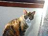 DSCN8162.jpg