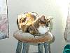 DSCN8189.jpg
