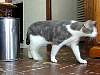 DSCN8207.jpg
