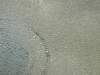 DSCN8217.jpg