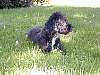 DSCN8231.jpg