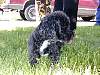 DSCN8232.jpg