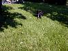 DSCN8236.jpg