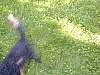 DSCN8277.jpg