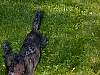 DSCN8284.jpg