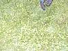 DSCN8287.jpg