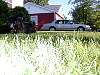 DSCN8301.jpg