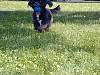 DSCN8302.jpg