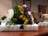 DSCN9182.JPG