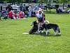 DSCN4249.JPG