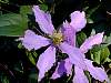 DSCN4048.jpg