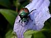 DSCN4051.jpg