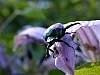DSCN4052.jpg