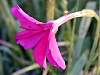 DSCN4339.jpg