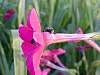 DSCN4341.jpg