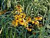 DSCN4342.jpg