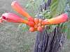 DSCN4347.jpg