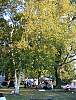 DSCN4353.jpg