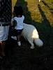 DSCN4359.jpg