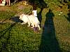 DSCN4362.jpg