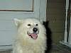 DSCN4437.jpg