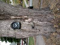 DSCN9147.JPG