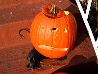 DSCN9157.JPG
