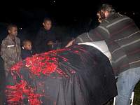 DSCN9312.JPG