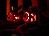 DSCN9315.JPG