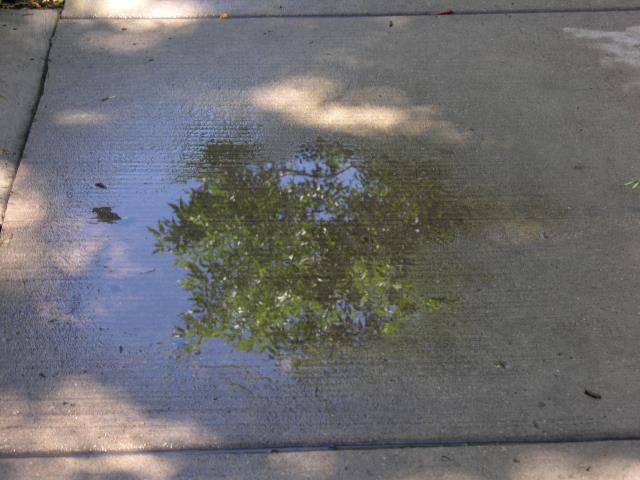 DSCN3933.JPG