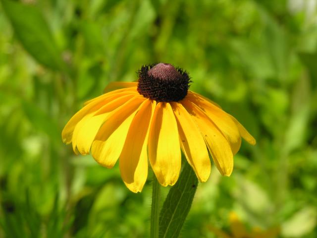 DSCN6027.JPG