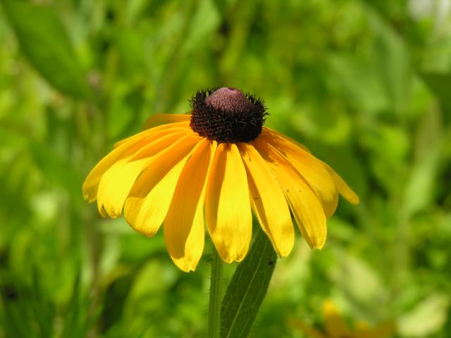 DSCN6028.JPG