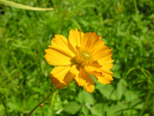 DSCN6039.JPG