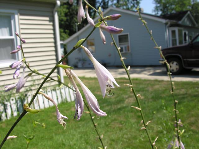DSCN6042.JPG