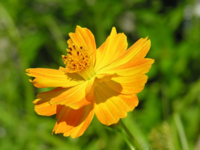 DSCN6059.JPG