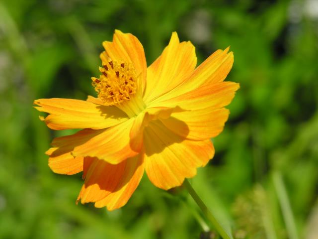 DSCN6060.JPG
