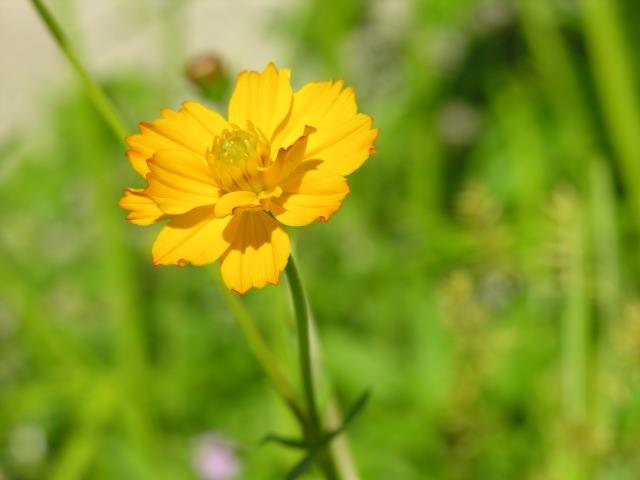 DSCN6063.JPG