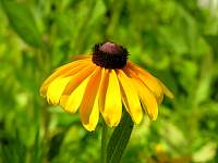 DSCN6028.jpg