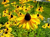 DSCN6043.jpg