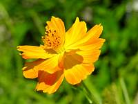 DSCN6058.jpg