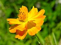 DSCN6060.jpg
